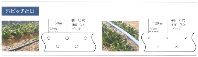 日新化学工業 潅水チューブ ECOチューブ 0.2mm厚×50mm×100m巻 （10本入） の通販は