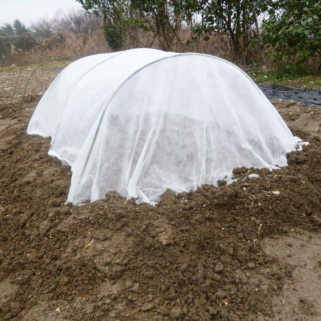 トンネル支柱　太さΦ11㎜長さ1800㎜　５０本