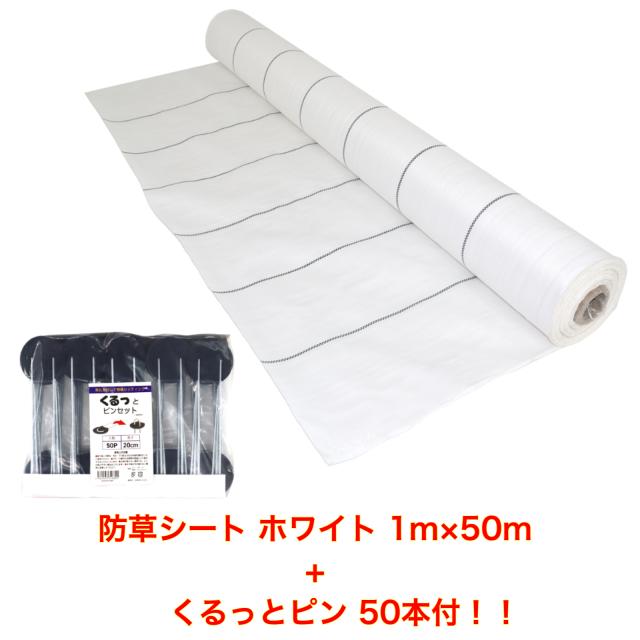 ###▽富士工業/FUJIOH レンジフード(ブラック/ホワイト)スタンダード シロッコファン 600間口 前幕板付属 受注約2週〔▽〕 ○富士工業&frasl;FUJIOH レンジフードBDR-4HL-7517(ブラック&frasl;ホワイト