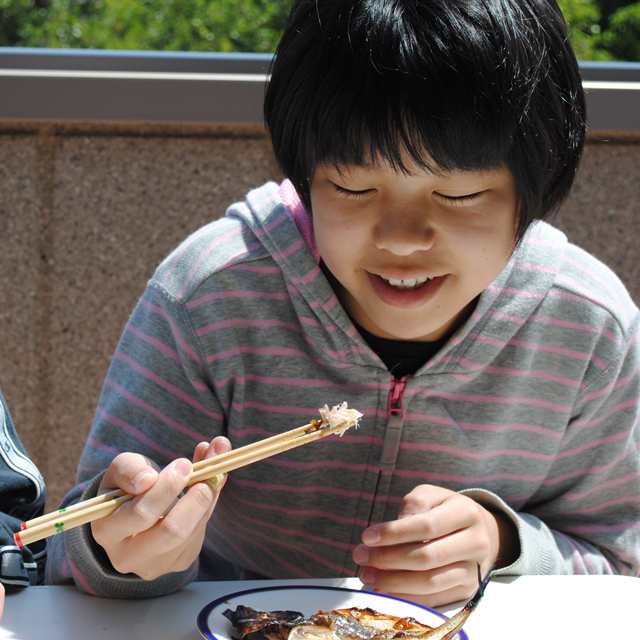 お取り寄せ 海鮮 グルメ 自宅用 産地直送 ギフト プレゼント  真アジ 15枚  あじ  誕生日 送料無料 国産 干物セット 魚 食品 おかず 酒のおつまみ 食べ物 ご飯のお供 福袋 保存食 開き 小田原 お返し 内祝い お返し  ホワイトデーの通販は