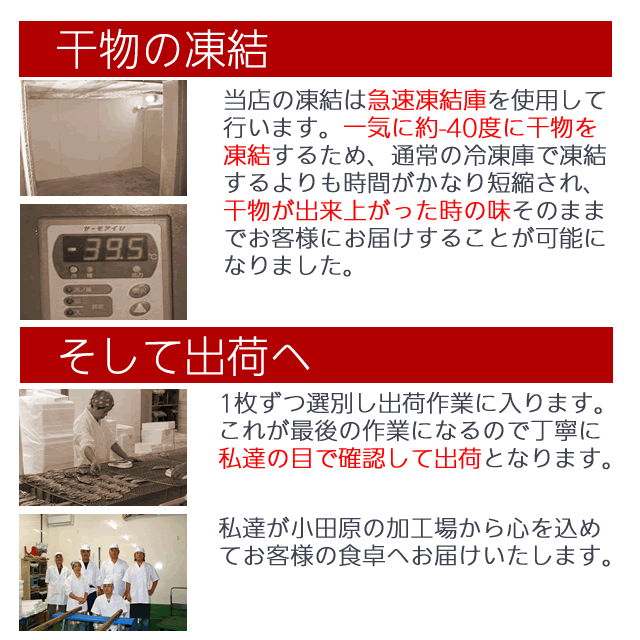 干物のお取り寄せ グルメ お歳暮 ギフト 小田原ひもの 山市 干物詰合せ 5種１0枚 誕生日 プレゼント 送料無料 サバ 金目鯛 国産  アジの通販はau PAY マーケット - 小田原ひもの 山市干物専門店