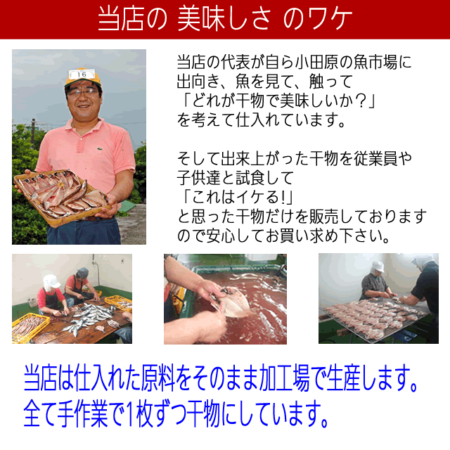 お取り寄せ 海鮮 グルメ 自宅用 産地直送 ギフト プレゼント  真アジ 15枚  あじ  誕生日 送料無料 国産 干物セット 魚 食品 おかず 酒のおつまみ 食べ物 ご飯のお供 福袋 保存食 開き 小田原 お返し 内祝い お返し  ホワイトデーの通販は