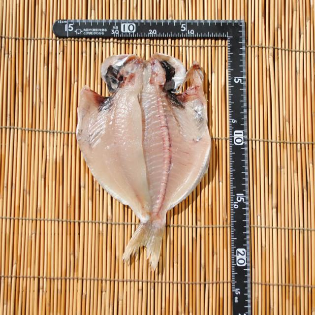 お歳暮 ギフト 干物のお取り寄せ グルメ いぼだい干物 1枚 誕生日 プレゼント 国産 エボダイ えぼだい えぼ鯛 魚 食品 おかず 酒のおの通販はau Pay マーケット 小田原ひもの 山市干物専門店