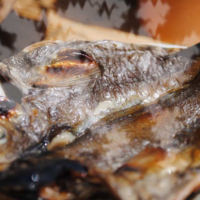 国産 いぼだい干物 1枚 小田原ひもの エボダイ 魚 お取り寄せ グルメ ギフト プレゼント食べ物の通販はau Pay マーケット 小田原ひもの 山市干物専門店