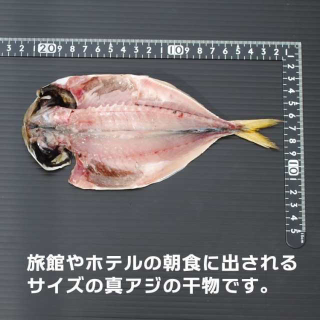 au　小田原ひもの　魚　食品　真あじ　鯵　ギフト　お取り寄せ　マーケット　PAY　グルメ　お歳暮　マーケット－通販サイト　一夜干し　プレゼント　小アジ干物　10枚　食品　干物　送料無料　おかず酒の通販はau　国産　PAY　誕生日　山市干物専門店