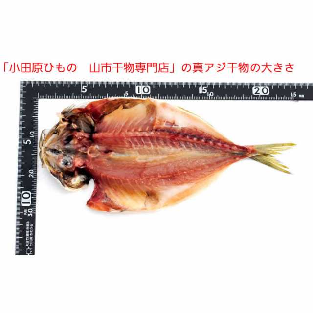 お取り寄せ 海鮮 グルメ 自宅用 産地直送 ギフト プレゼント  真アジ 15枚  あじ  誕生日 送料無料 国産 干物セット 魚 食品 おかず 酒のおつまみ 食べ物 ご飯のお供 福袋 保存食 開き 小田原 お返し 内祝い お返し  ホワイトデーの通販は