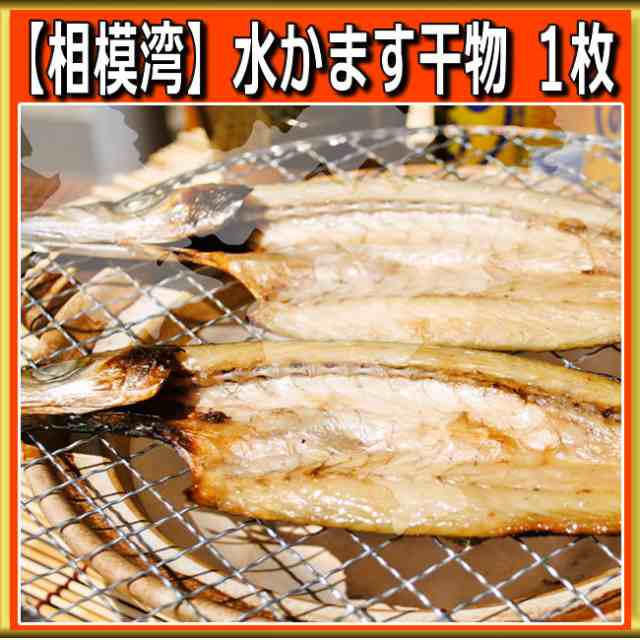 水かます干物 1枚 小田原 カマス お取り寄せ ギフト プレゼント 魚 食品 食べ物 おかず ご飯のお供 の通販はau Pay マーケット 小田原ひもの 山市干物専門店