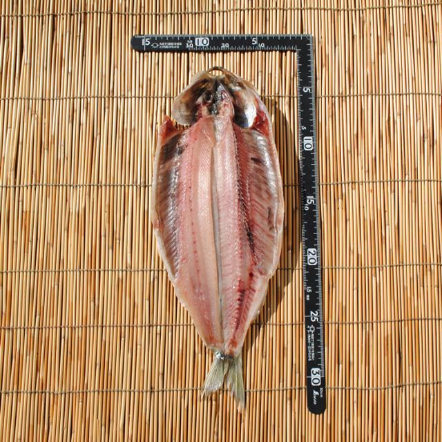 お歳暮 ギフト 干物のお取り寄せ グルメ ニシン干物 1枚 誕生日 プレゼント 国産 にしん 鰊 魚 食品 こだわり おかず酒のおつまみ の通販はau Pay マーケット 小田原ひもの 山市干物専門店