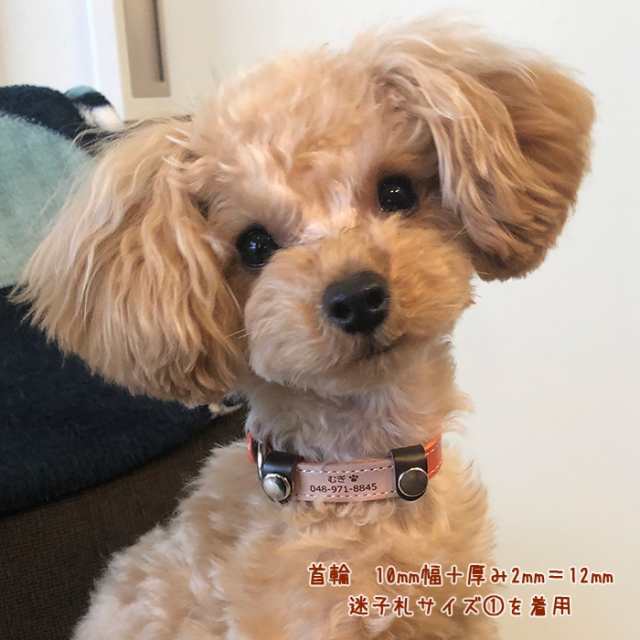 迷子札 超軽量 犬 いぬ 猫 ねこ ペット 首輪 犬用迷子札 名前入れ 名入れ ネーム入り ネームタグ ドッグタグ 名札 かわいい おしゃれ 犬の通販はau  PAY マーケット - 犬の首輪屋てるべる | au PAY マーケット－通販サイト