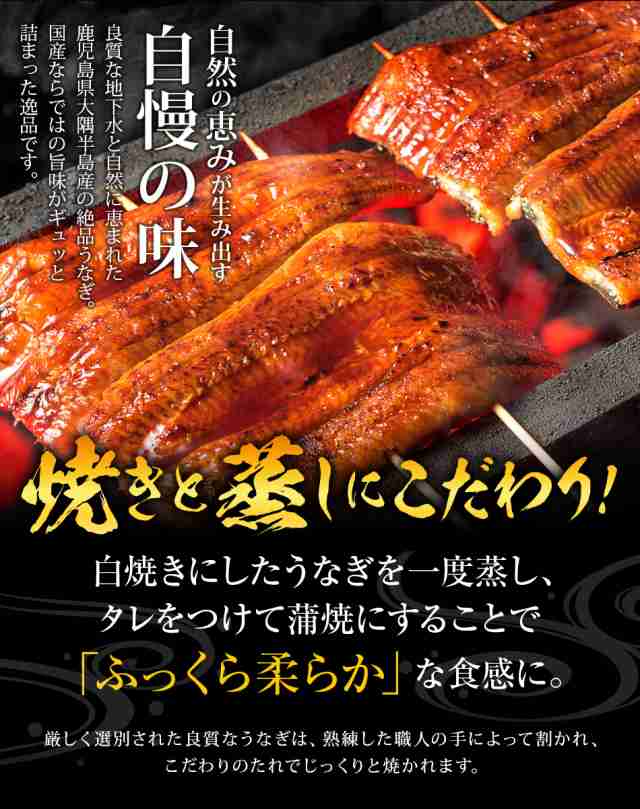 鹿児島県産 うなぎ蒲焼 3尾入 有頭 送料無料 うなぎ ウナギ 鰻 蒲焼き 国産 土用丑の日 食べ物 食品 お礼 送料無料 ギフト お取り寄せグの通販はau Pay マーケット 博多久松