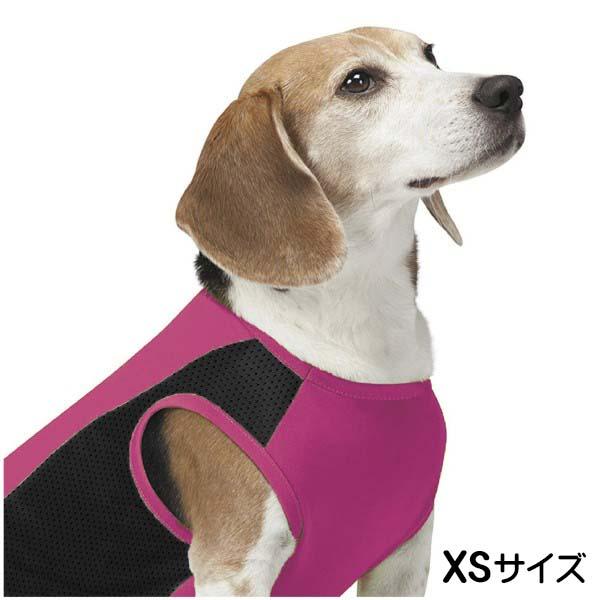 送料無料 インセクトシールド ひんやり虫よけ犬用タンクトップ カシス Xs ドッグウェア クール 虫よけ 熱中症対策の通販はau Wowma アダチカメラ キャッシュレス5 還元