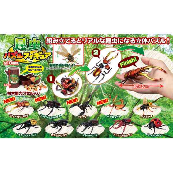 昆虫パズルフィギュア ミヤマクワガタ リアル昆虫フィギュア 組立 立体パズル エール Ypf Insect Myk 昆虫 パズル おもちゃ 知育玩具 の通販はau Pay マーケット アダチカメラ