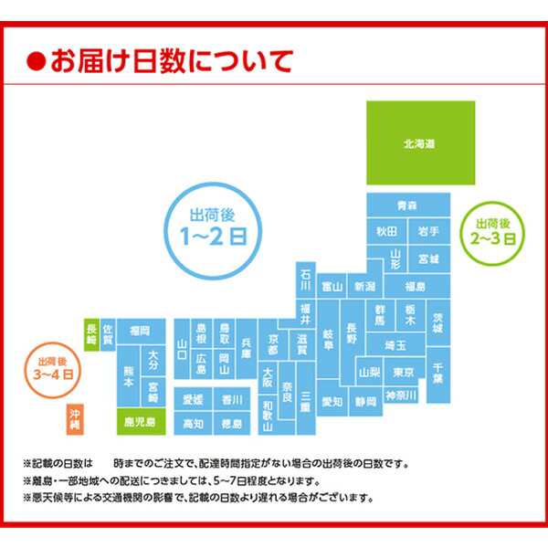 ファンタ グレープ 1.5L ペットボトル 6本（1ケース） 炭酸飲料 コカコーラ 【メーカー直送品・代金引換不可】 送料無料の通販はau PAY  マーケット - スリーエーダイレクト auPAYマーケット店 | au PAY マーケット－通販サイト