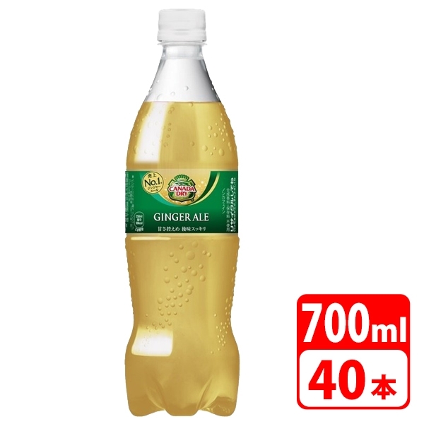 カナダドライ ジンジャーエール ペットボトル 700ml 40本（2ケース） 炭酸飲料 清涼飲料 コカコーラ 【代引き不可】【送料無料】