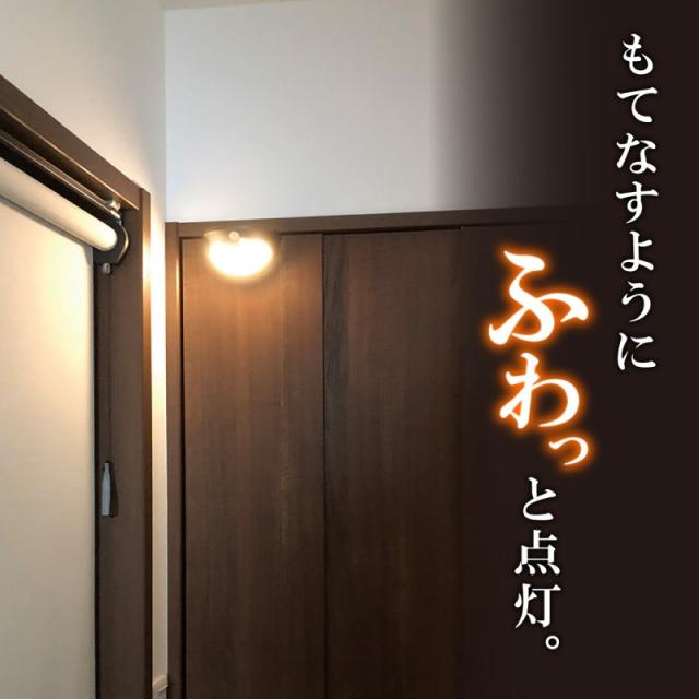 ELPA もてなしのあかり LED明暗人感センサーライト ドア用 HLH-2206 送料無料