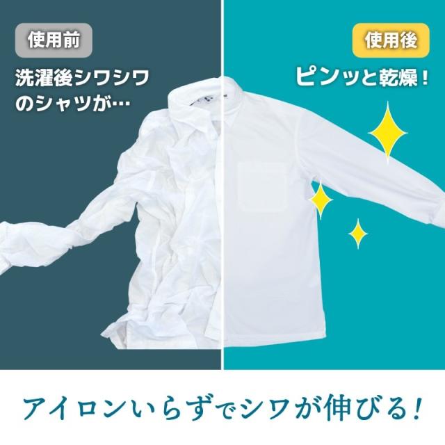 鉄いら〜ず 白いこと シワを伸ばすかわき切る機 御召しものかわき切る＆除シワ役立つこと付き添い人 鉄不必要 省空白文字腹積もり ハンガー型 かわき切る機 鉄 いらーず サンコー HRNCLSSWH 貨物輸送無料 またの日送りとどける
