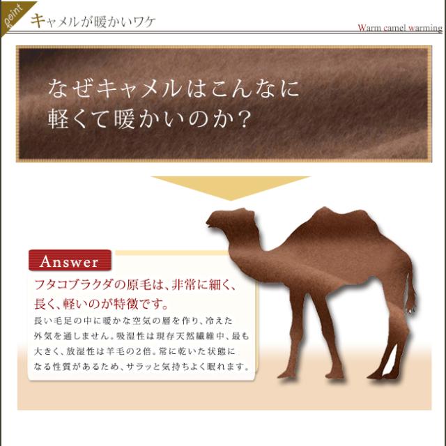 【送料無料】 掛け布団 肌掛け布団 シングル キャメル掛け布団 暖かい キャメル100% 無臭ソーラタッチ 150×210 日本製_5