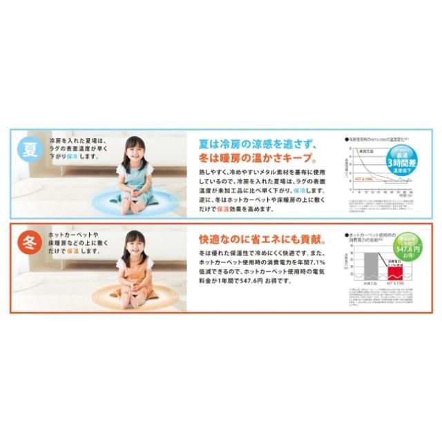 ハンナ カーペット 絨毯 2畳 190×190cm 花柄 日本製 床暖対応 防ダニ加工 Fフォースター 低ホルムアルデヒド 遊び毛防止 ホットカーペット 保温 保冷 滑り止め付き おしゃれ スミノエ_6