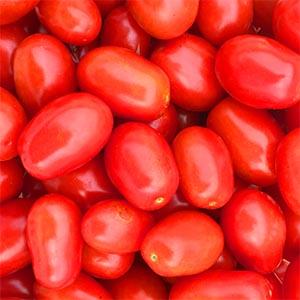 ミニトマト　「ロッソナポリタン」　宮城県 栗原 産　（4kg箱）