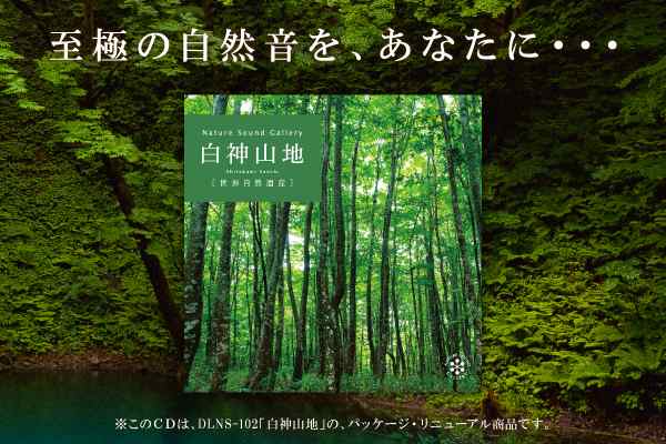 白神山地 試聴可 ヒーリング 癒し 音楽 不眠 眠り 睡眠 快眠 自然音 森 山 川 せせらぎ さえずり 小鳥 水音 Cd リラックス Bgm 送料無料の通販はau Pay マーケット 癒しの音楽 ヒーリングプラザ