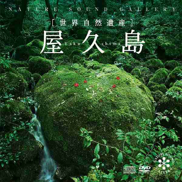 屋久島 ヒーリング Cd Bgm Dvd 音楽 癒し ミュージック 不眠 自然音 映像 ヤクザル ヤクシカ ギフト プレゼント 試聴できます 送料無の通販はau Pay マーケット 癒しの音楽 ヒーリングプラザ