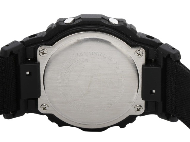 現品］【超希少】2番 ソテツ カイルンシアナブルー 8号 蘇轍 レア