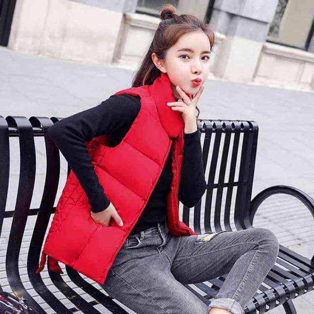 スタンドカラージャケット レディースベスト ベスト 中綿 立ち襟ベスト ジャケット ブルゾン ノースリーブ 防寒 ジップアップ の通販はau Pay マーケット Mmc