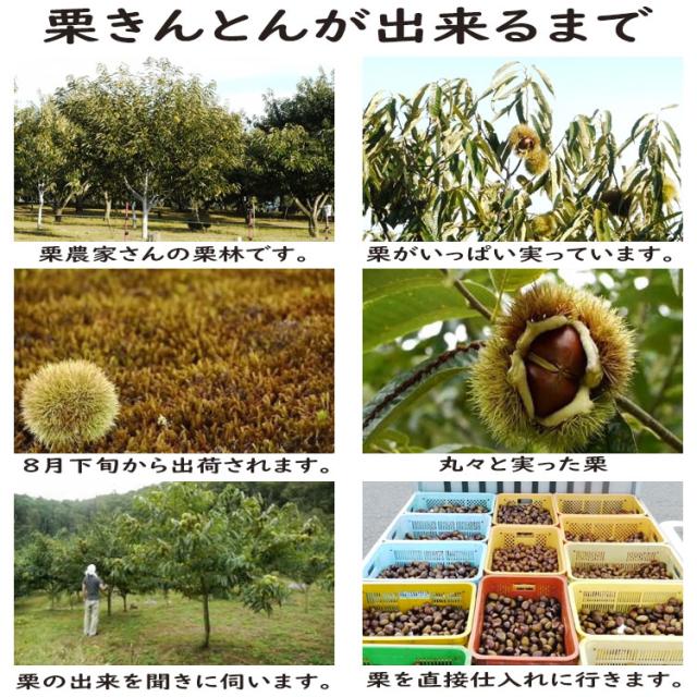 ギフト お菓子 スイーツ 人気 和菓子 プレゼント 個包装 高級 チョコ 以外 義理 本命 おもしろい おしゃれ 職場 会社 大量 送料無料 干し柿 お取り寄せ 岐阜中津川 栗きんとん 入り市田柿 栗柿 30個入 wh_drink wh_brand_10