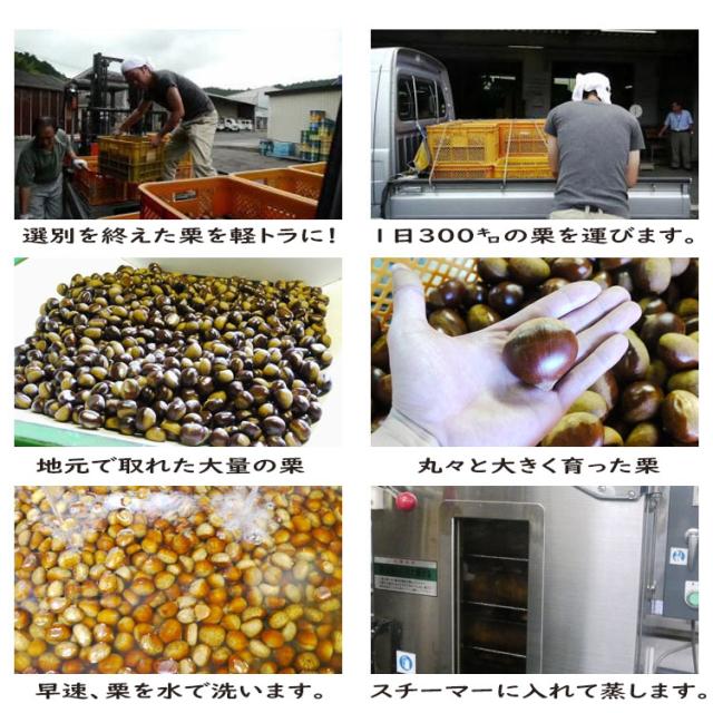 ギフト お菓子 スイーツ 人気 和菓子 プレゼント 個包装 高級 チョコ 以外 義理 本命 おもしろい おしゃれ 職場 会社 大量 送料無料 干し柿 お取り寄せ 岐阜中津川 栗きんとん 入り市田柿 栗柿 30個入 wh_drink wh_brand_11