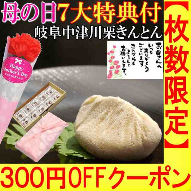 ３００円offクーポン 母の日 早割 プレゼント スイーツ 和菓子 お菓子 ギフト 花 カーネーション ７大特典 花とセット 送料無料 食べの通販はau Pay マーケット くり屋南陽軒