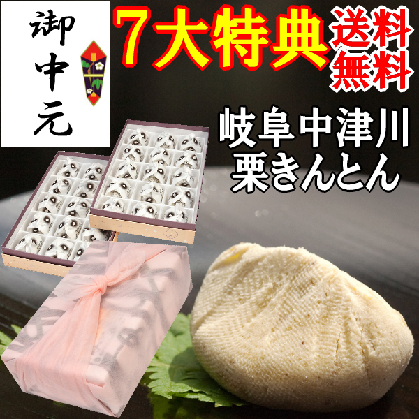 北川村ゆず王国 つぶつぶはっさく 480g 12個セット 22179 : QUOLI