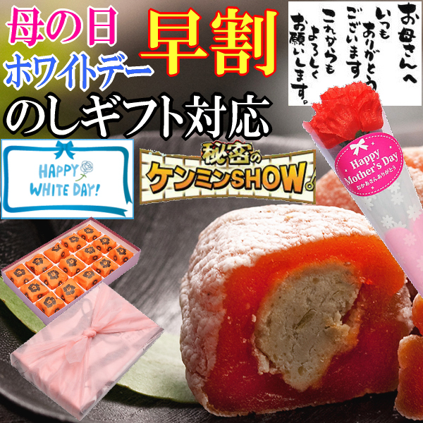＼早割／ ホワイトデー お返し お菓子 母の日 チョコ チョコレート 以外 ばらまき プチ ギフト 岐阜中津川 栗きんとん スイーツ プレゼント 和菓子 個包装 小分け 職場 送料無料 誕生日 高級 食べ物 フルーツ 干し柿 お取り寄せ 岐阜中津川 栗きんとん 入り市田柿 栗柿 15個入の通販は 6,110円