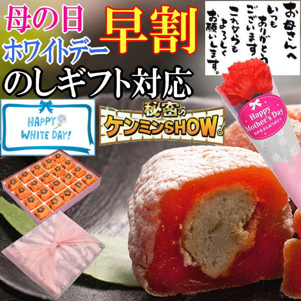 ＼早割／ ホワイトデー お返し お菓子 母の日 チョコ チョコレート 以外 ばらまき プチ ギフト 岐阜中津川 栗きんとん スイーツ 個包装 小分け プレゼント 和菓子 送料無料 誕生日 フルーツ 干し柿 お取り寄せ 詰め合わせ 岐阜中津川 栗きんとん 入り市田柿 栗柿 20個入の通販は 7,800円