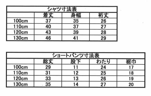 体操服 半袖 Vネック 裏地 綿100％ 子供用 キッズ 体操着 紺 上下