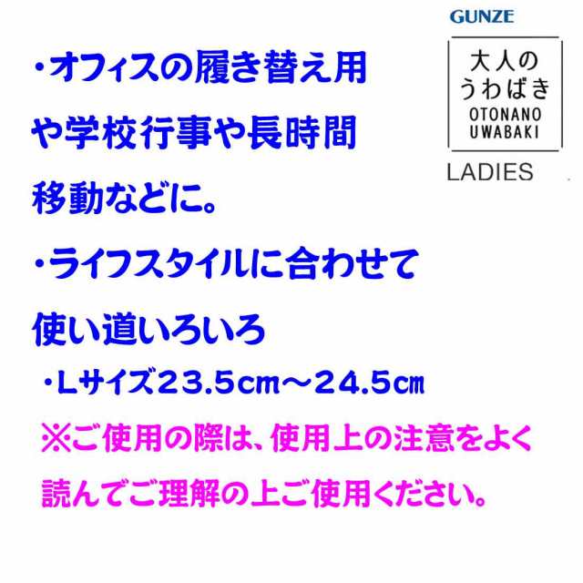 グンゼ 大人の上履き レディース用 Lサイズ23 5cm 24 5cm お稽古 上履き 室内履き レディース 学校説明会 入園入学 卒業式の通販はau Pay マーケット ロリポップ Au Pay マーケット店