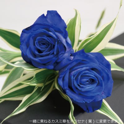 ブラックボックス ブルーローズ 青バラ 青薔薇 送料無料 花束 ギフト プロポーズ 誕生日 結婚記念日 贈り物 プレゼント 生花 父の通販はau Pay マーケット 花とお酒とギフト銀座東京フラワー