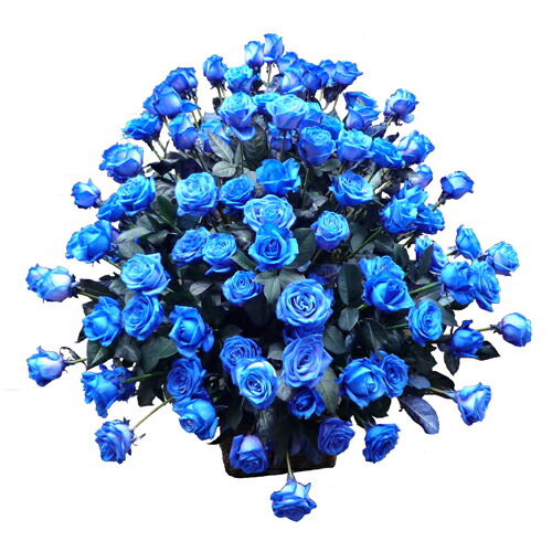 ブルーローズ フラワーアレンジメント ブルーローズ100本アレンジメント 送料無料 贈答 ハロウィン お歳暮の通販はau Pay マーケット 花とお酒とギフト銀座東京フラワー