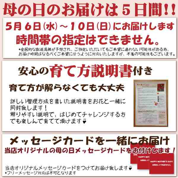 須貝花園 カラー ピカソ 5号 ギフト ランキング おすすめ 贈答 バレンタイン ホワイトデー 母の日 早割の通販はau Pay マーケット 花とお酒とギフト銀座東京フラワー