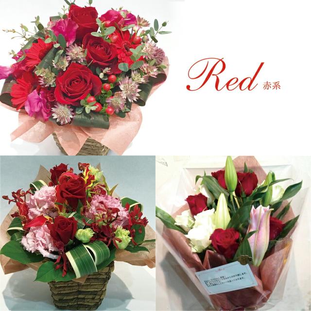 花とワイン セット おまかせアレンジメント 選べるワイン セット スパークリング 白 赤 ロゼ 送料無料 お酒 冬季配送不可地域あり おの通販はau Pay マーケット 花とお酒とギフト銀座東京フラワー