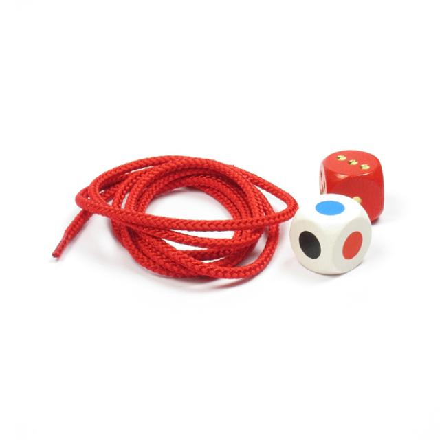 プラステン 補充用ひもとサイコロ ニック 出産祝い 正規輸入品 知育玩具 木のおもちゃ ひもとおし 積み木 子供 赤ちゃん 誕生日の通販はau Pay マーケット がじゅまるの樹 Au Pay マーケット店