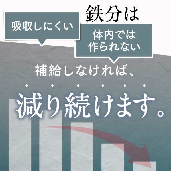 さくらの森 【公式】 美めぐり習慣 ヘム鉄 鉄分 サプリ 貧血 葉酸 貧血 ...