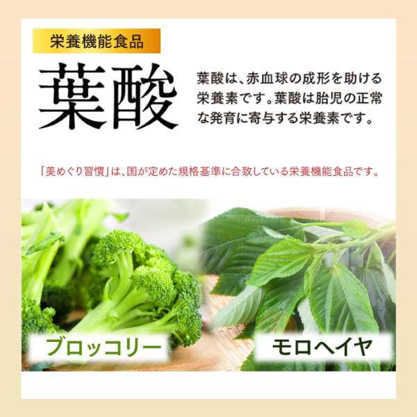 2袋 さくらの森 美めぐり習慣 鉄剤 150錠