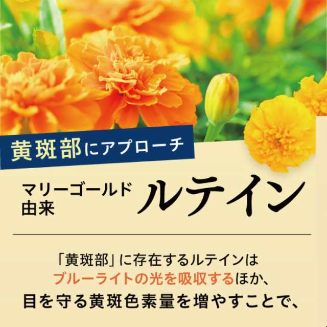 ビルベリー ルテイン サプリ【機能性表示食品】さくらの森 めなり極 1袋60粒 1ヶ月分 アントシアニン ゼアキサンチン 目 眼 目の疲れ