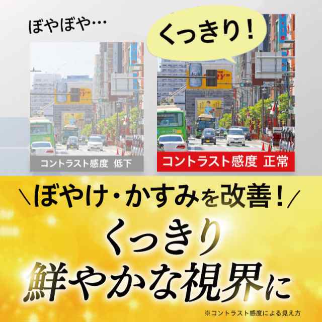 ビルベリー ルテイン サプリ【機能性表示食品】さくらの森 めなり極 1