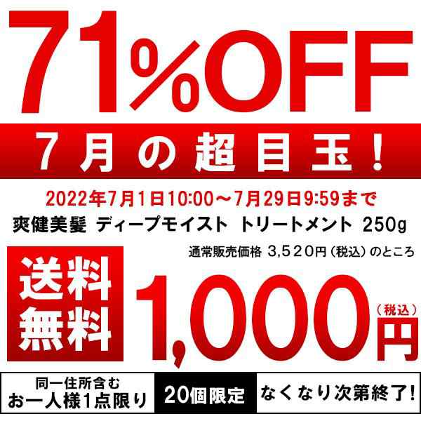 爽健美髪 ディープ モイストトリートメント250g トリートメント 潤い