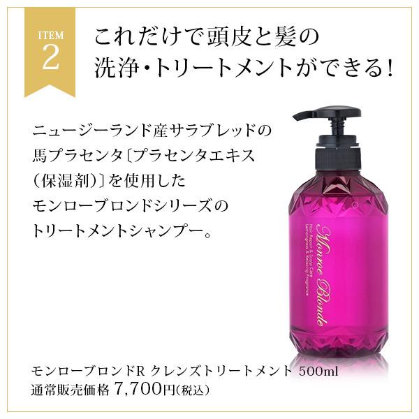 Monroe ヘアケアセット Monroe ヘアケアセット