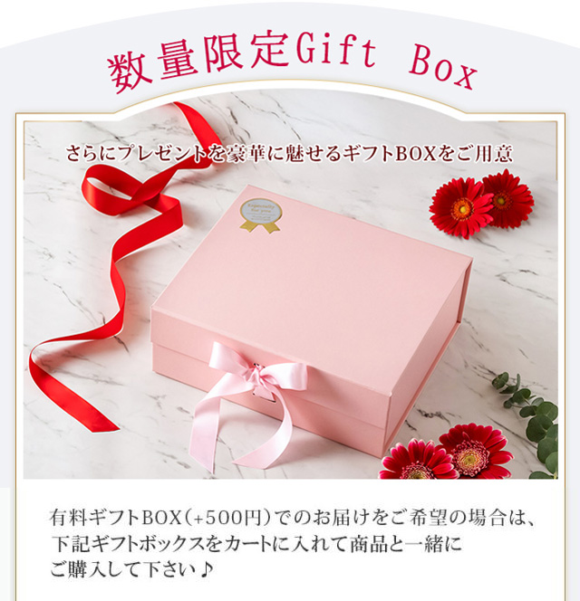 クリスマス限定 美顔器ギフトセット 豪華セット 美顔器 EMS 美容液