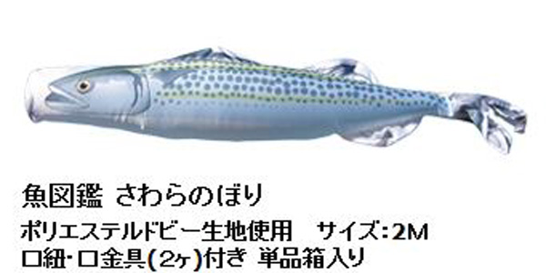 さわらのぼり 魚図鑑