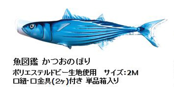 かつおのぼり 魚図鑑