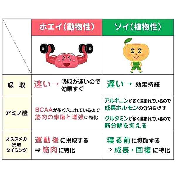 ジュニア プロテイン Nobita ソイプロテイン ノビタ 600g 成長サポート 身長 体づくり Fd0002の通販はau Pay マーケット Pro Shop Suncabin サンキャビン